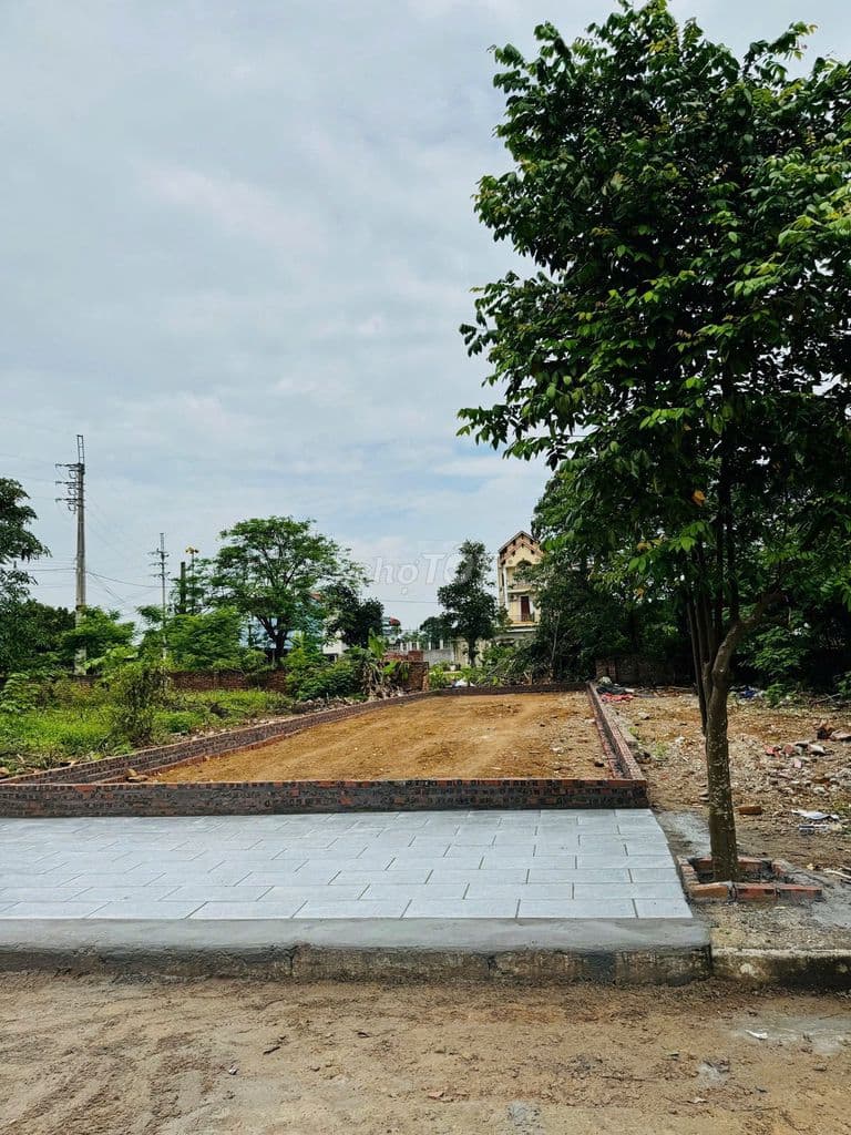 Đất tái định cư Linh Sơn – giá thấp nhất khu, chỉ nhỉnh 40 triệu/m² - Ảnh 3