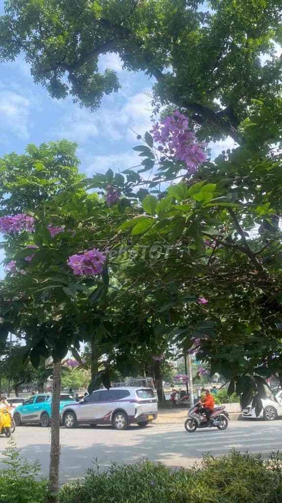 Bán căn hộ chung cư mi ni