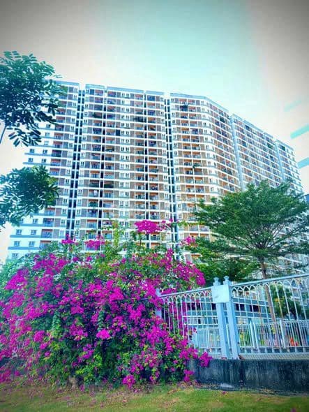 Cần bán nhanh căn 2PN JamonaCity, sổ hồng riêng, THƯƠNG LƯỢNG