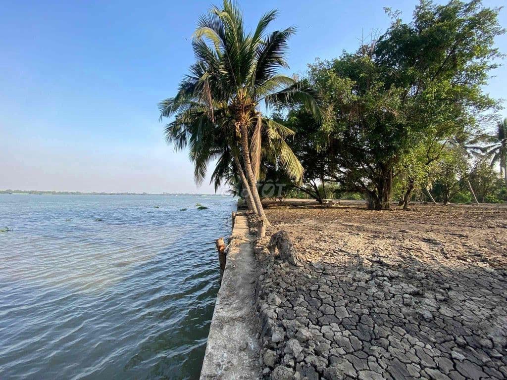 ❌ Bán đất Long Phước - Quận 9 ( nhiều diện tích 1000 - 50.000m) - Ảnh 2