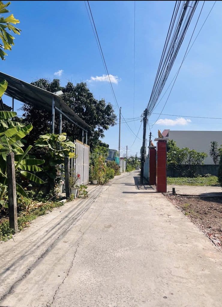 🏡Tôi cần bán gấp đất thổ 132m2 giá rẻ 700Tr Xã Tân Phú Trung, Củ Chi - Ảnh 3