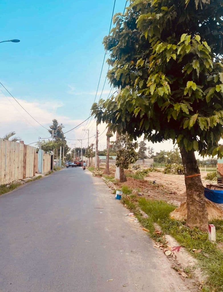 Bán đất thổ cư . Sổ hồng riêng . MT đường nhựa 8m thônh - Ảnh 2