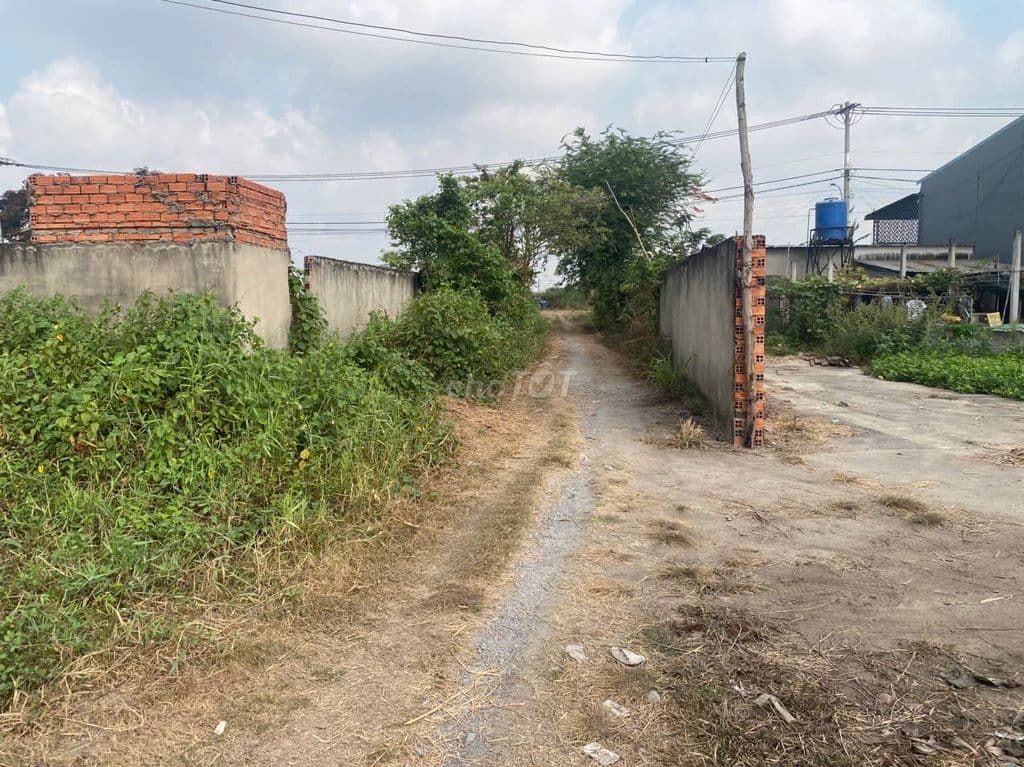 ĐẤT 3540m2 1480m2 thổ cư- TÂN THẠNH ĐÔNG - CỦ CHI - Ảnh 2