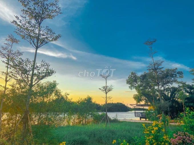 Chính chủ cần bán lô đất đẹp 7* 12,5 kdc gia long giá rẻ bán gấp - Ảnh 2