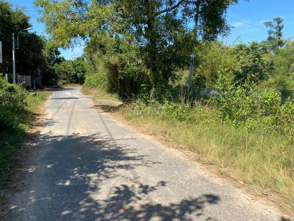 1252,9m² ĐẤT MẶT TIỀN ĐƯỜNG NHỰA – 600m2 TC – gần TL15 Củ Chi - Ảnh 2