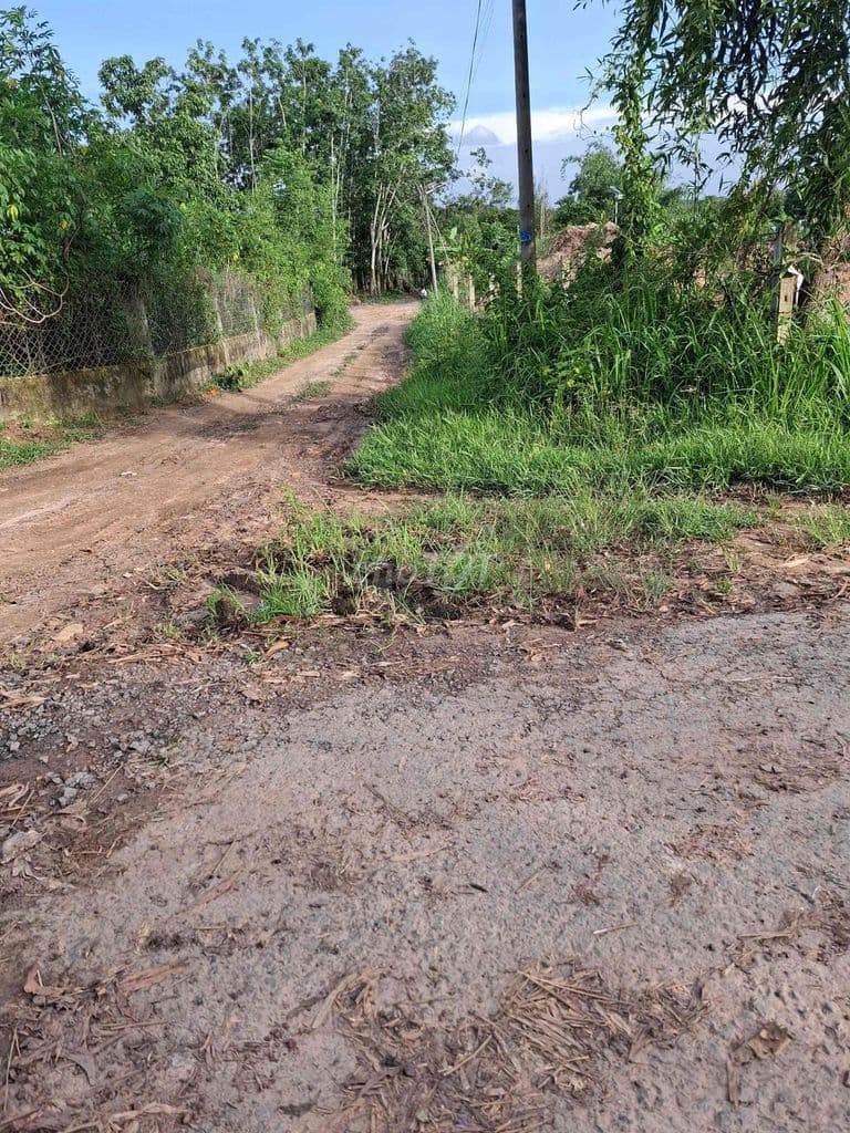 Bán đất chính chủ tại An Nhơn Tây gần tỉnh lộ 15 - Ảnh 2