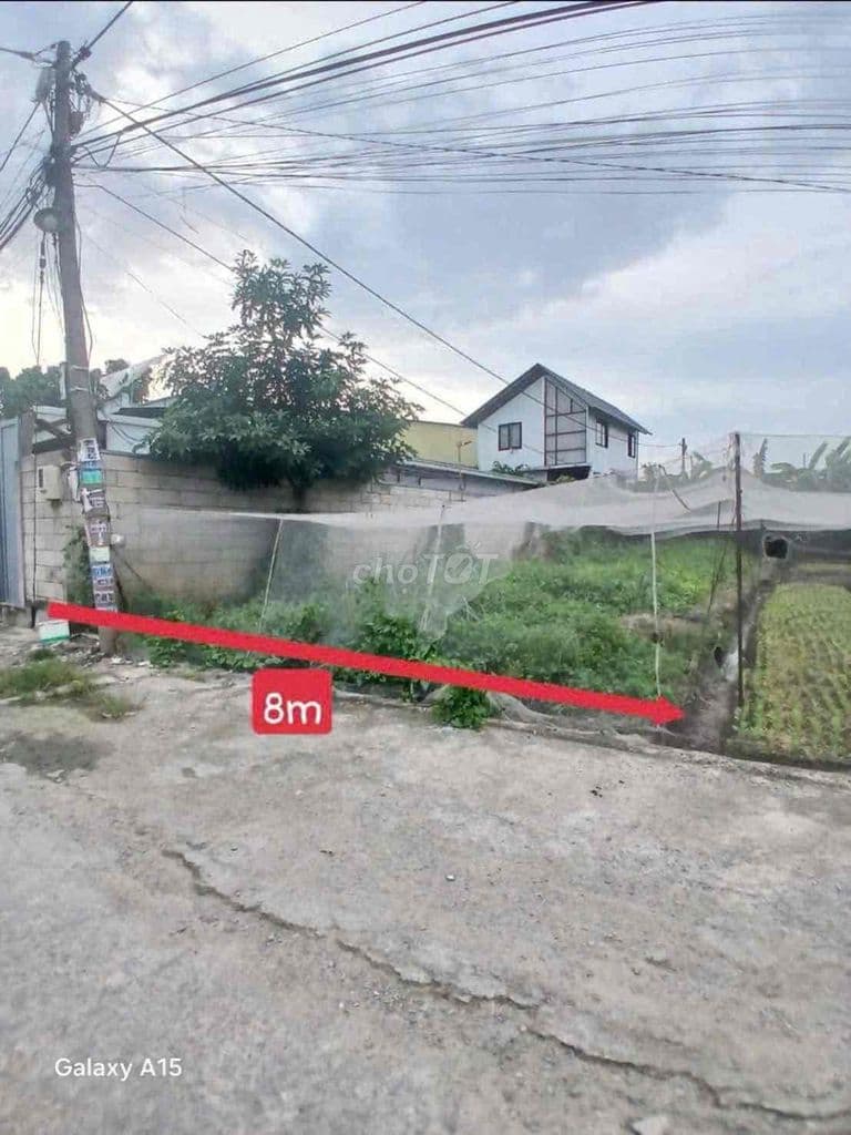 8x37m BUI THI LUNG - Ảnh 2
