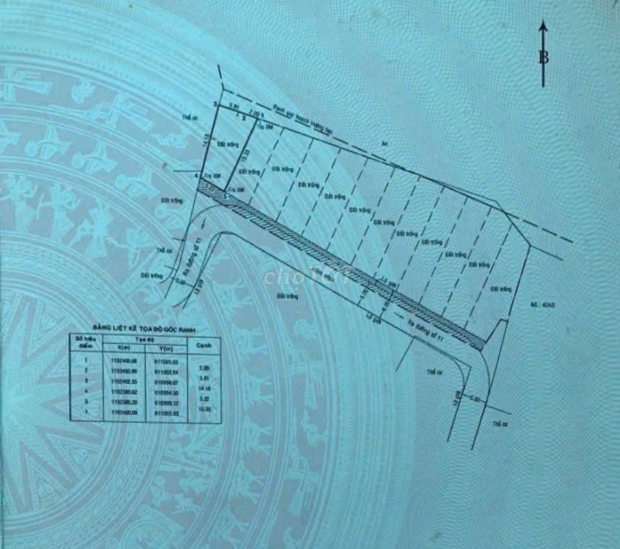 Bán lô đất HXH 4-6m -96m2 - Đường 11, P. Bình Trưng Đông - Ảnh 2