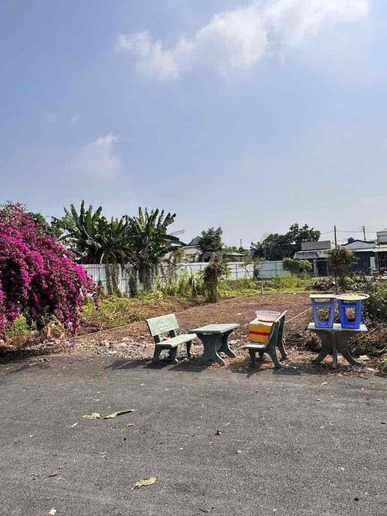 Bán Đất Sổ Hồng 5 x 19 Thổ Cư 93m2 Đường 6m - Ảnh 3