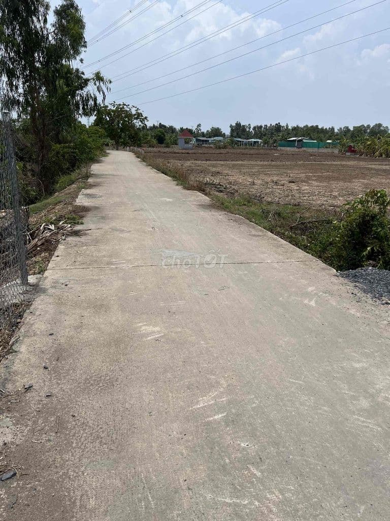 Bán đất xã Tân Nhựt, Bình Chánh