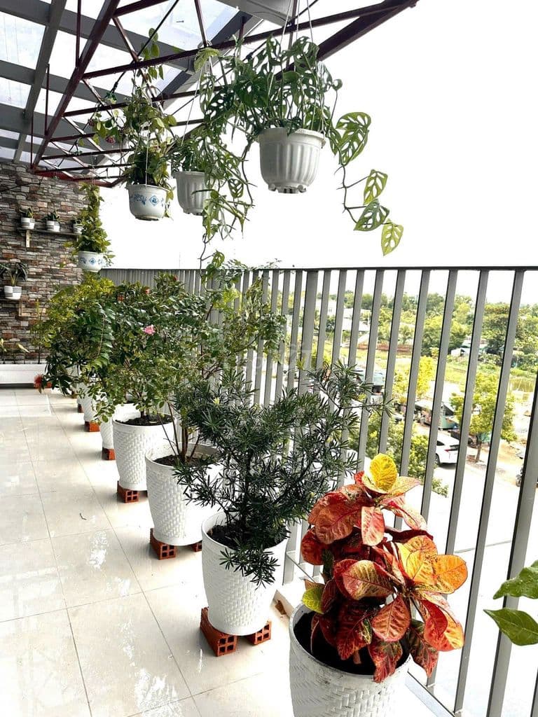 BÁN Căn 2PN 2WC Có 16m Sân Vườn- Giá 3.170Ty - 76m- Tặng Thêm Nội Thất - Ảnh 2
