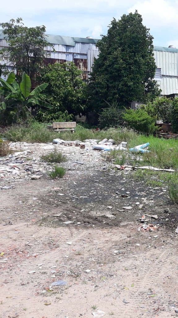 410 m2 ( Có Thổ Cư ) 👉 Làm Kho Xưởng, Nhà Vườn - Ảnh 3