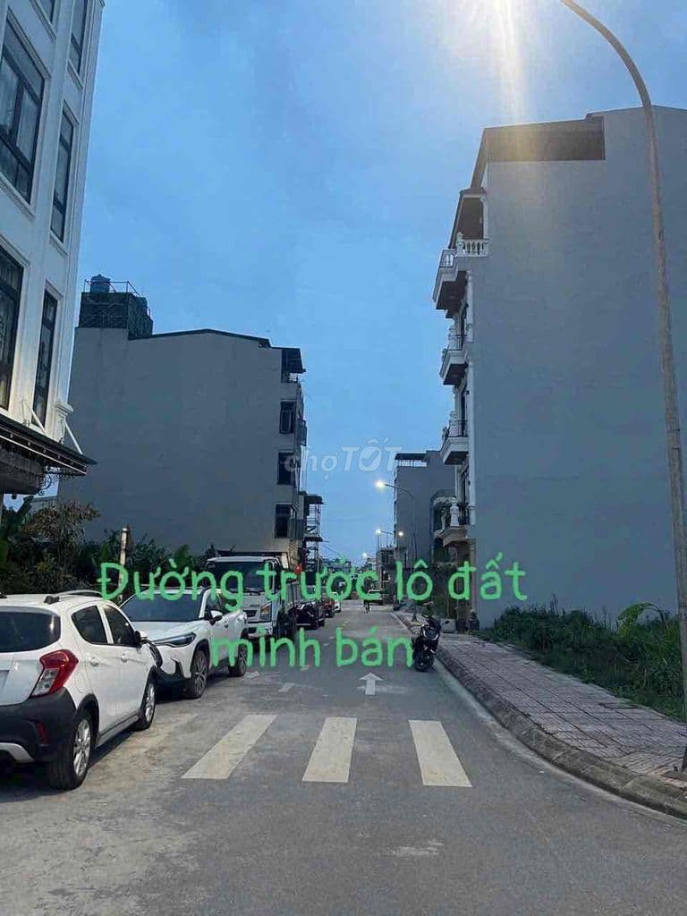BÁN ĐẤT PHÂN LÔ ĐẤU GIÁ CỰ KHỐI 65m2 MT=HẬU =5mét - Ảnh 2