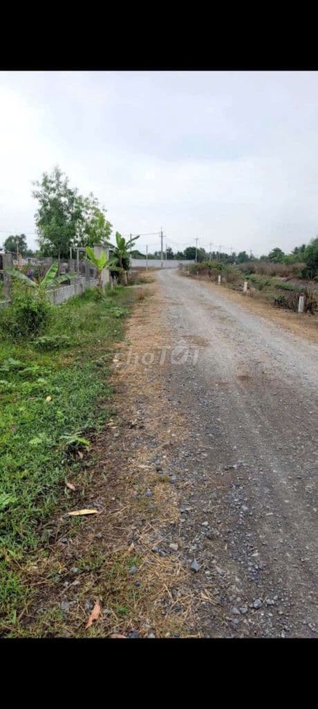 Nhà vườn mặt tiền kênh Đức Lập 2000m2 giá 2ty1 bớt lộc - Ảnh 2