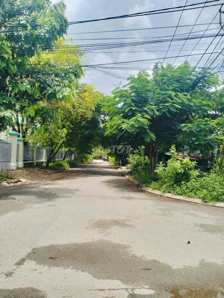 Cần bán đất 9500m2 Hưng Long giá bèo 2tr/m2