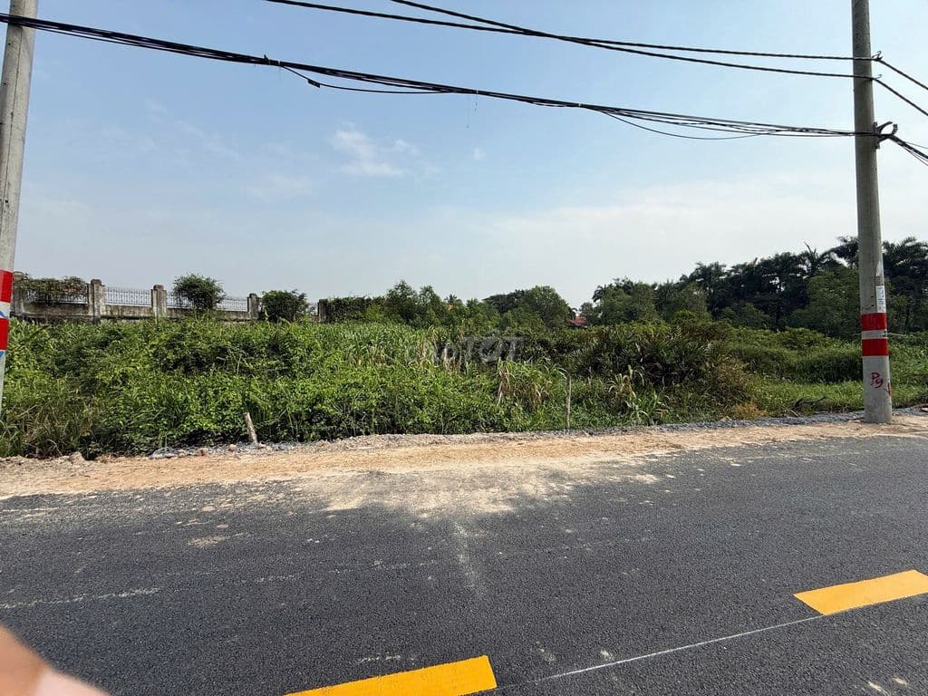 lô đất vườn giáp sông 4.650m2 đường 5, P. Long Phước HCM Giá 17 tr/m2