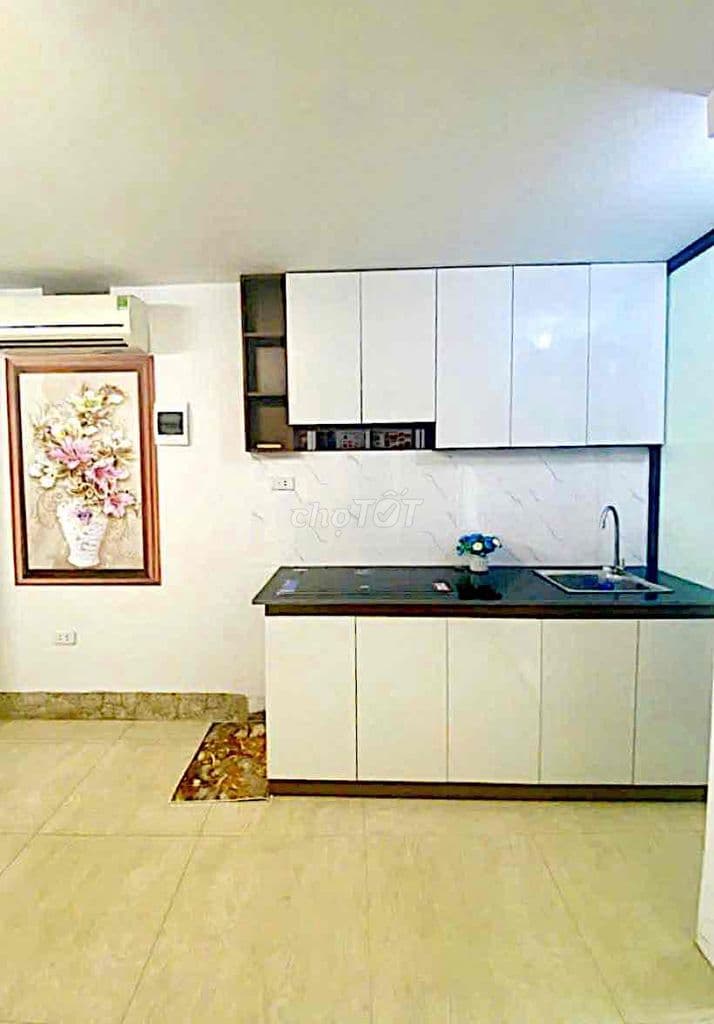 BÁN CCMN 2 TẦNG, 2 NGỦ, 2 VỆ SINH, TẦNG 1, 2.250 TỶ, NHƯ NHÀ MẶT ĐẤT - Ảnh 3