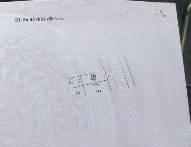 Đất đấu giá Mậu Lương 60m2 mt 5m ô tô tránh vỉa hè GPXD 7 tầng