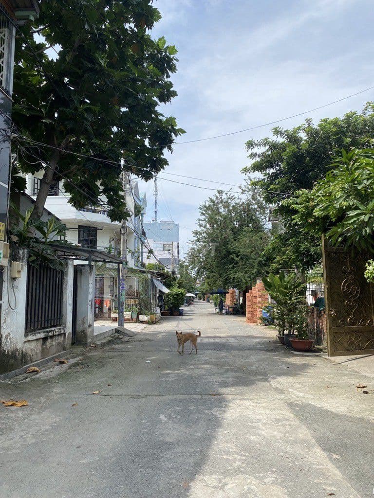 NHÀ HẺM XE TẢI HƯƠNG LỘ 80, P. BÌNH HƯNG HÒA, DT 78M2 (4,5x17), 4,8 TỶ - Ảnh 2