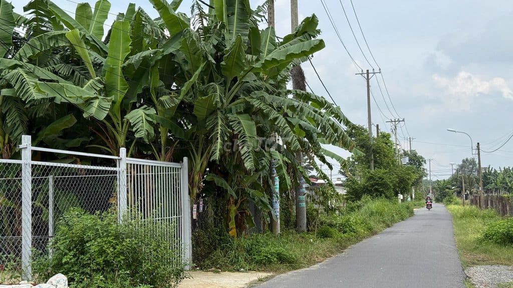 BÁN GẤP ĐẤT MẶT TIỀN - Ảnh 2