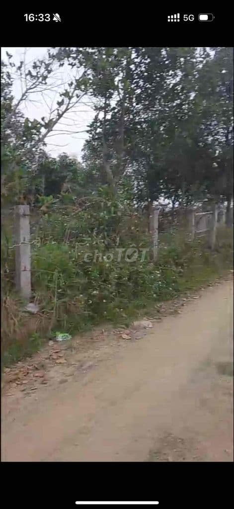 Bán nhanh lô 1034m2 Phúc Tiến- Bình Yên - Ảnh 3