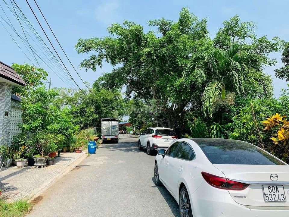Đất Ngộp 100m2 Cần Bán Gấp Chỉ 1 Tỷ 4 Gần Cổng Chào TT Củ Chi , SHR - Ảnh 2