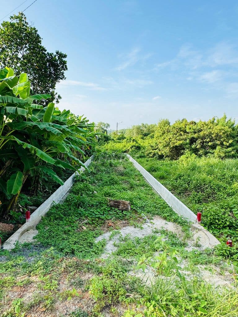Đất vuông vức mặt tiền Nguyễn Văn Khạ - 125m2 - 700trieu