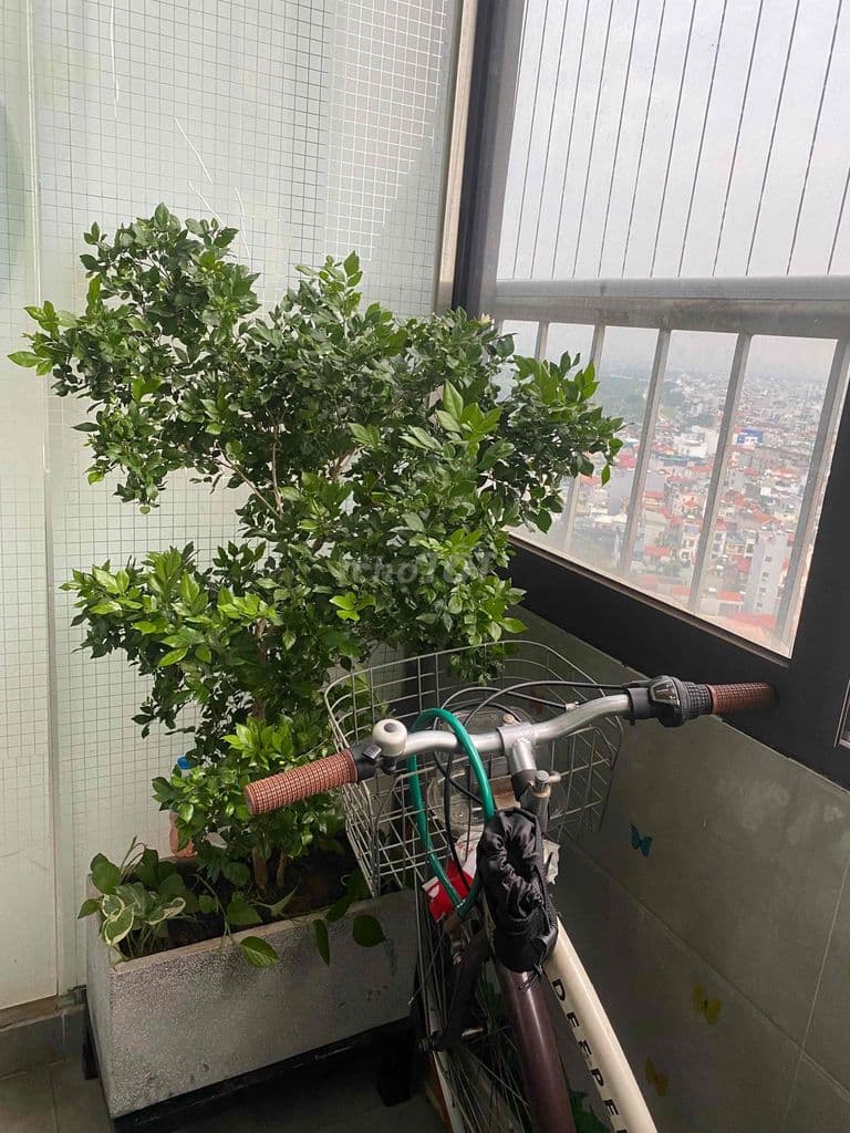 Chính chủ bán chung cư quân đội Thạch Bàn - Ảnh 2