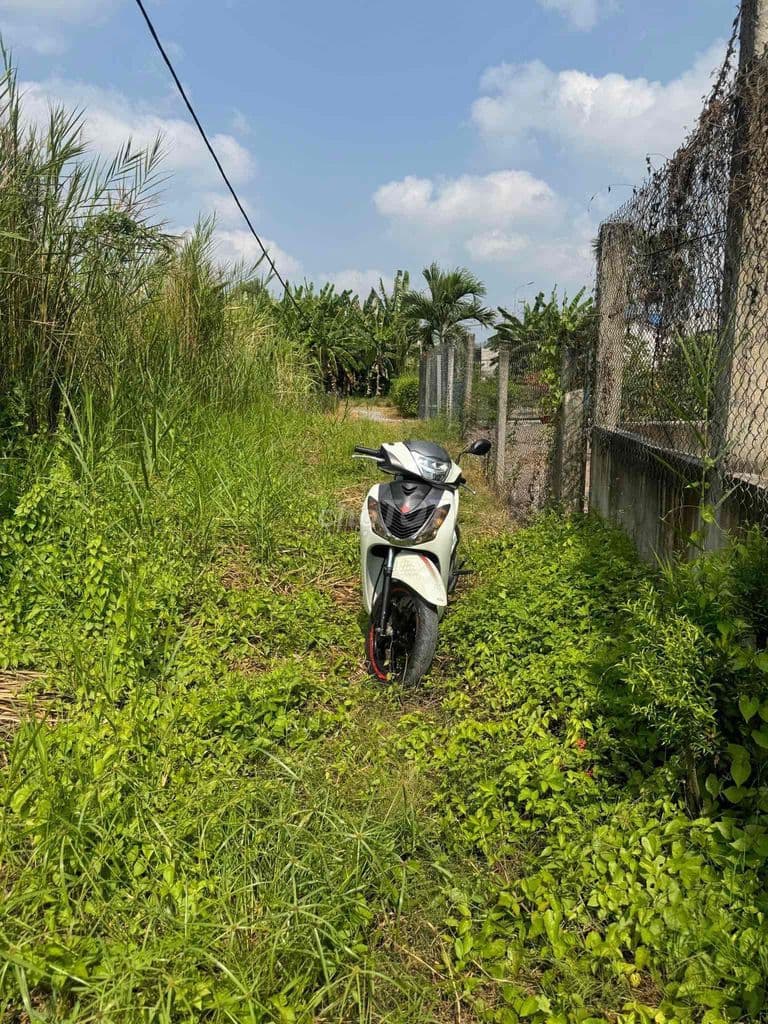 bán 1239m có 300m thổ cư xã quy đức sát trường học cấp 2 - Ảnh 3