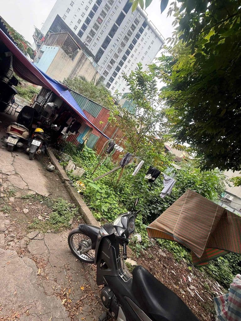 bán đất chính chủ