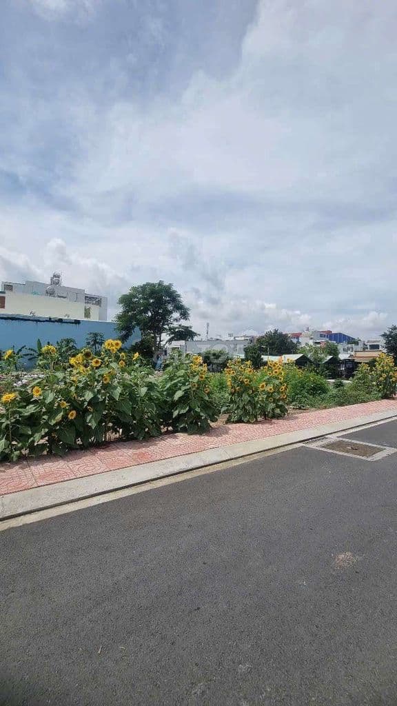 ✔️Lô góc đẹp ngang 7m, Xd tự do, An Lạc. - Ảnh 2