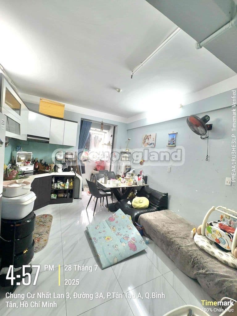 Gấp Bán Chung cư Nhất Lan 3. 62m2. 2pn 1w.SHR. Chỉ hơn 2,1 tỷ TL