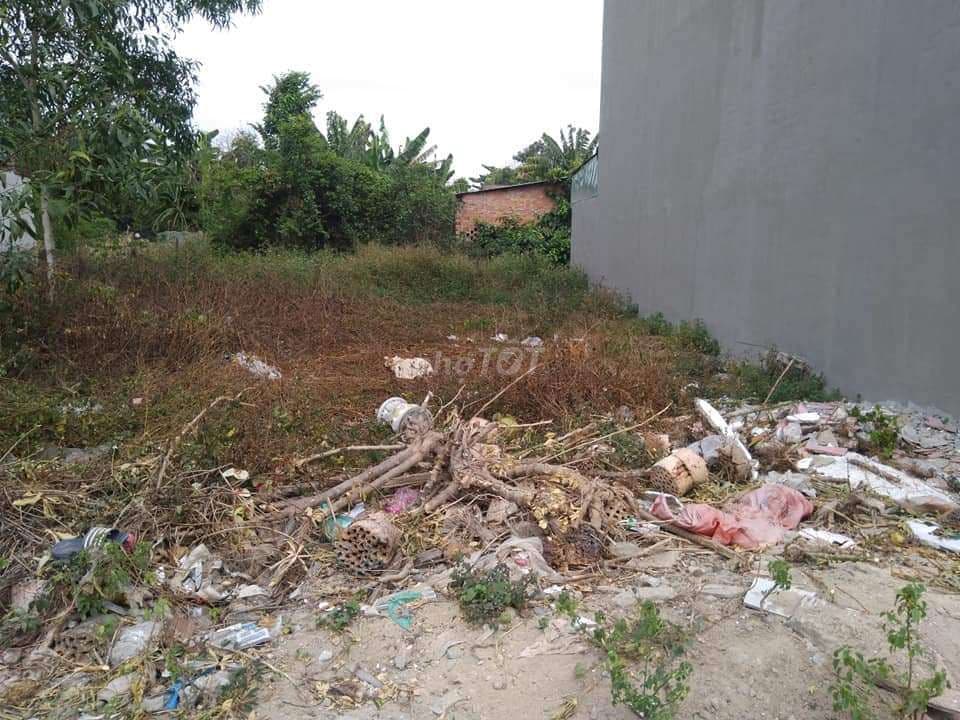 Bán Đất Đường Nhựa Chính Chủ, Đất Thổ Cư 100% - Ảnh 3