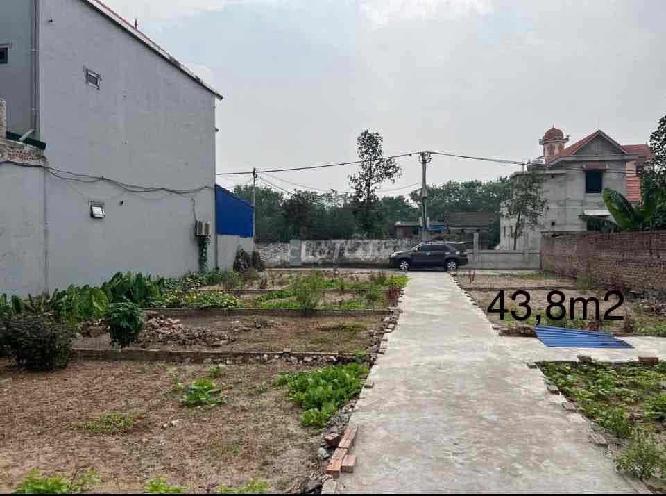 Đất thổ cư đường oto