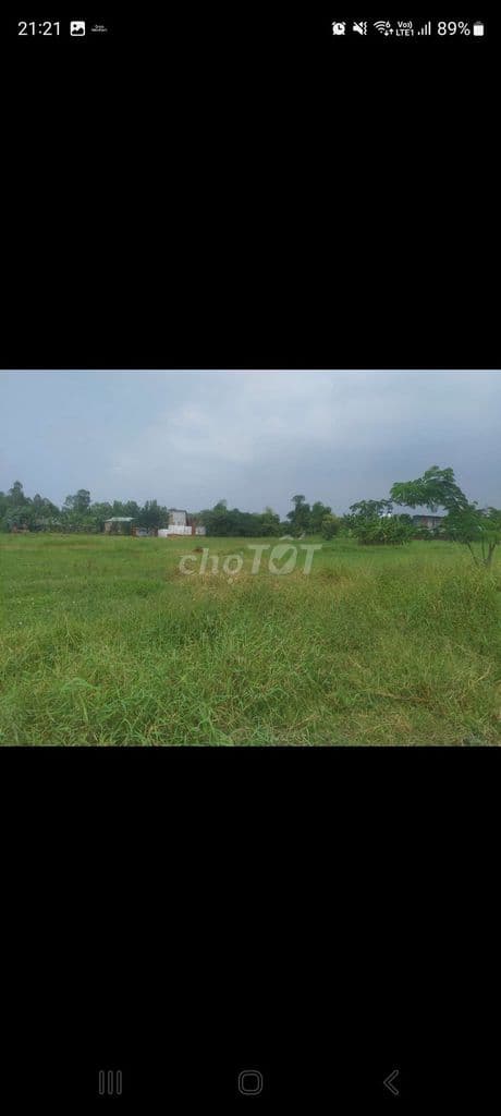 ⚡Chính chủ bán nhanh lô đất 5030m²- gần Kinh Trung Ương, Ấp 5 V.Lộc B - Ảnh 2