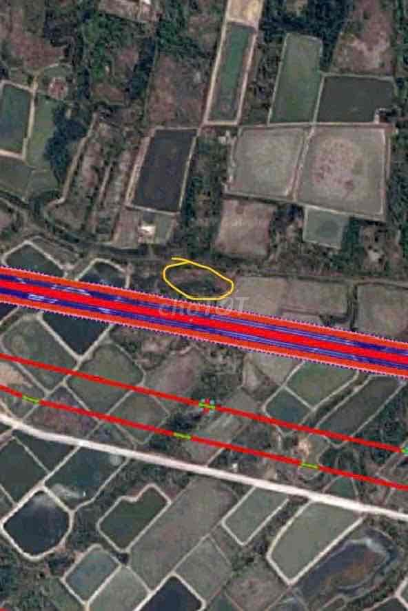 Bán lô đất vườn doi mỹ khánh ngay vị trí đón đầu cầu cần giờ