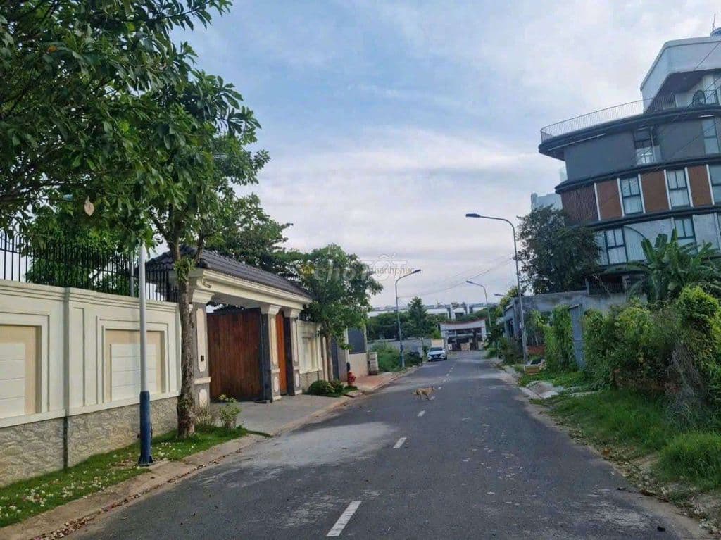 Bán đất lô góc 2 mặt tiền đường phường Trường Thạnh Quận 9 Tphcm - Ảnh 2