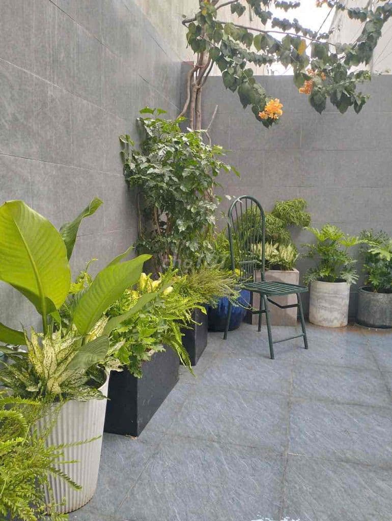 Bán nhà 1 trệt 1 lầu 76m2 hẻm xe hơi gần chợ Thủ Đức - Ảnh 3