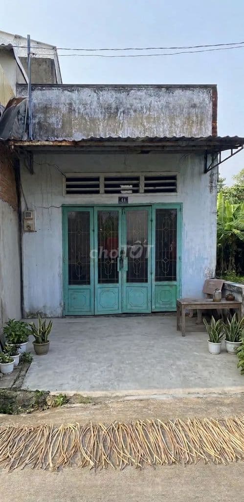 Bán đất có ngôi nhà nát SHR hoàn công đủ 4x12 full thổ, đường thông 8m - Ảnh 3