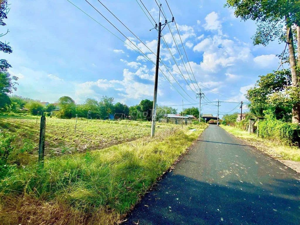 1000m2 đất mặt tiền đường Phạm Thị Quới