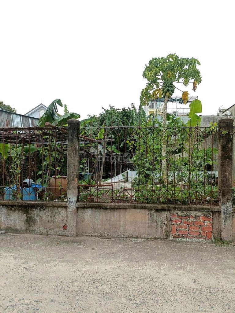 🇻🇳🇻🇳. ĐẤT THỔ CƯ, SHR 10 X24 HẬU LÂN BÀ ĐIỂM