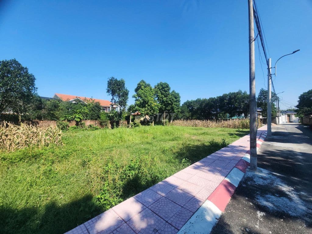 Đất Phú Cát 100m2 - Đắc địa trung tâm phát triển, đón sóng tăng giá. - Ảnh 2