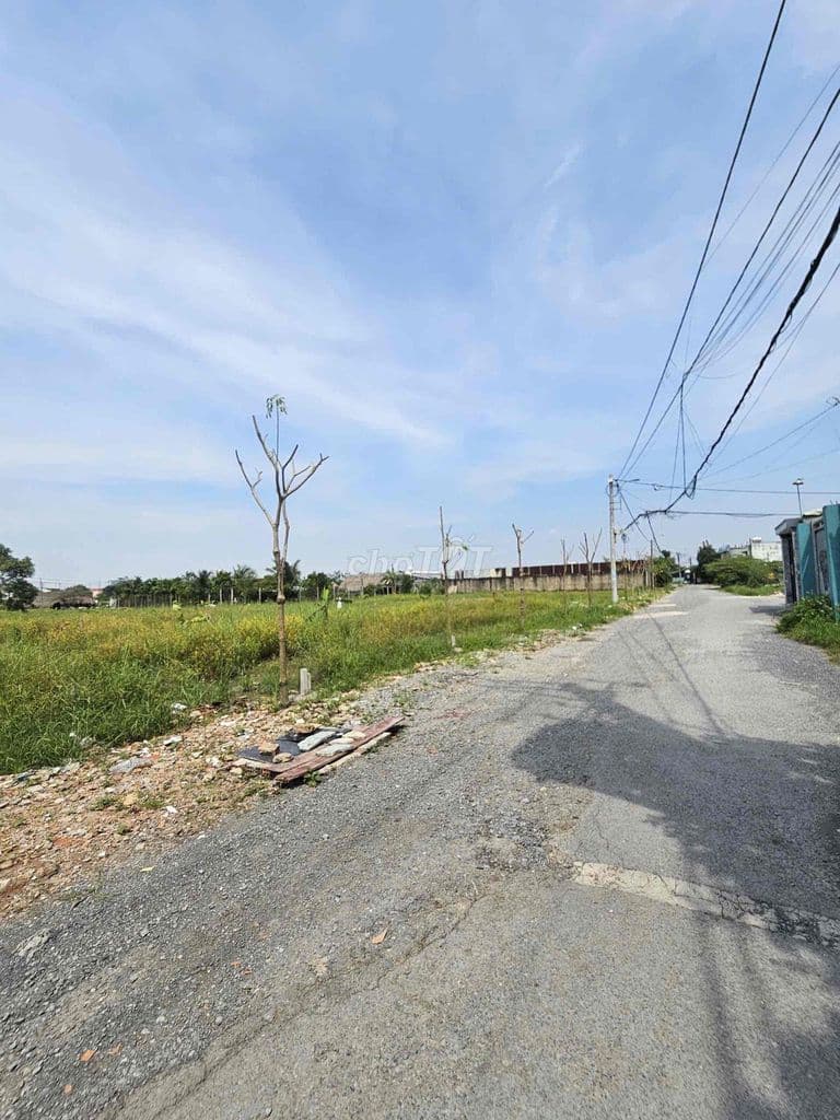 ĐẤT MT Xuân Thới Thượng 20- 551m - 100m TC- SHR -300m ra Phan Văn Hớn - Ảnh 2