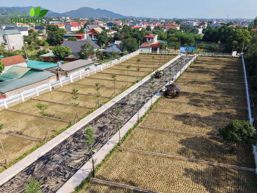 Bán đất phân lô tại Sóc Sơn giá nhỉnh 1 tỷ - Ảnh 3