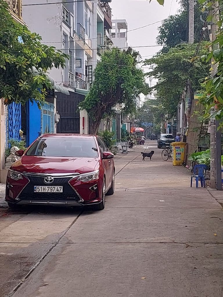 Cần tiền làm ăn bán gấp đất tổ nghiệp - Ảnh 2