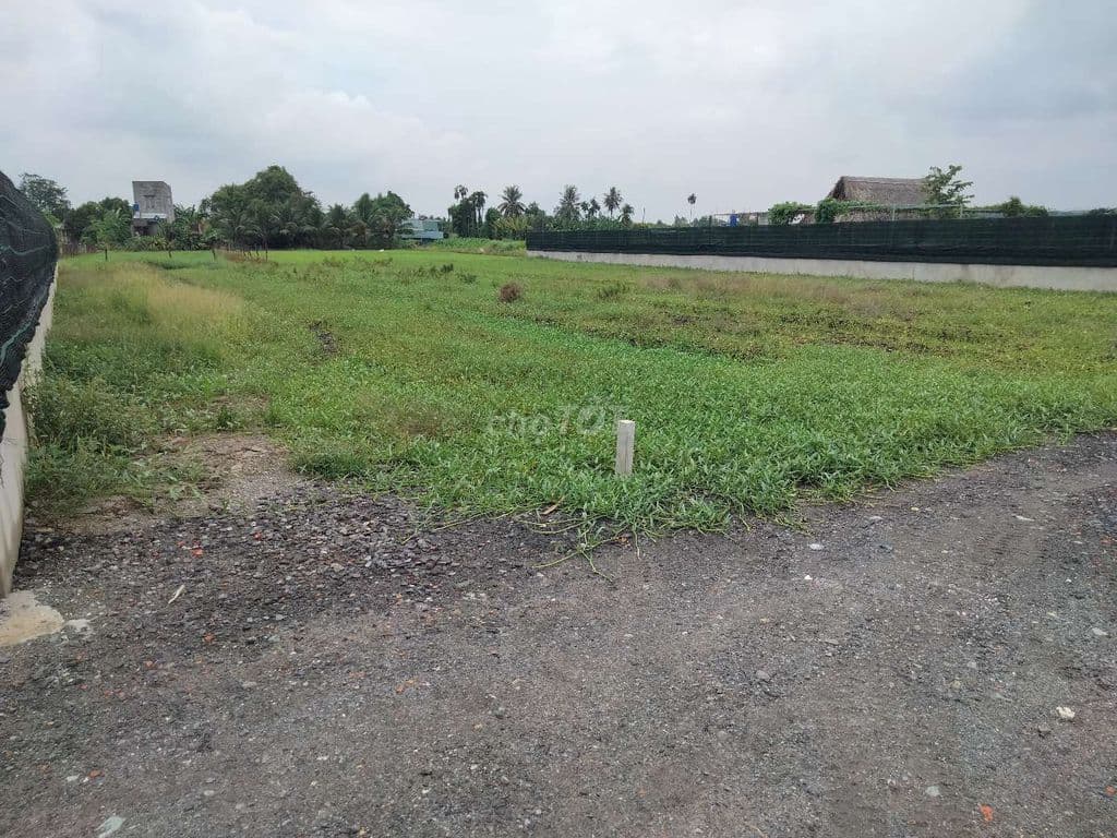 Bán đất vườn đường xe oto tới đất xã Bình Mỹ - Ảnh 2
