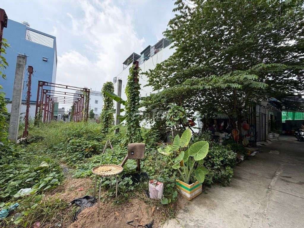 📢Chỉ 40tr/m2📢 Hiếm 🧨268M2🧨 Ngay KDC Anh Tuấn🧨Ngang 8M Cực Đẹp - Ảnh 3