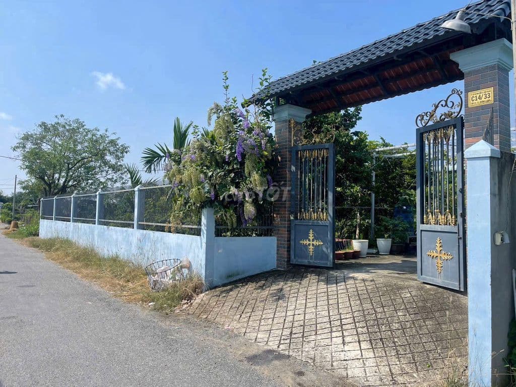 MY đường nhựa Ba bê xã hưng long bìnhChánh 1325m có 300m thổ nhà cấp 4