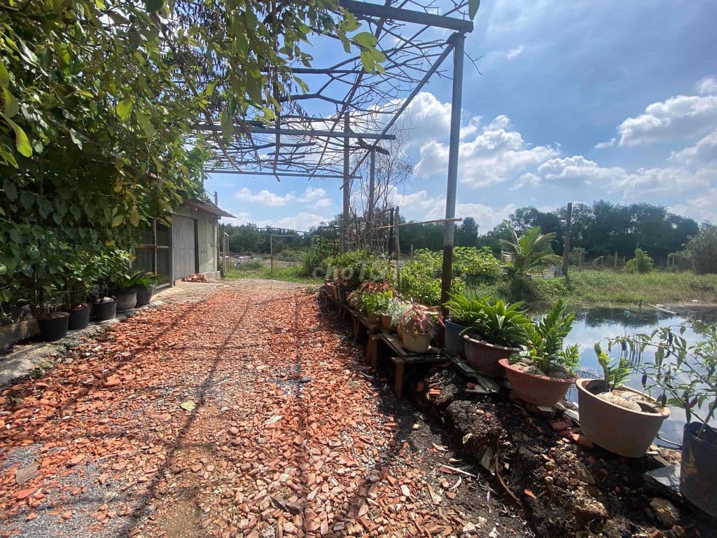Bán 1hecta (10.000m2) Hồ Sen Tam Đa giá 12 tỷ