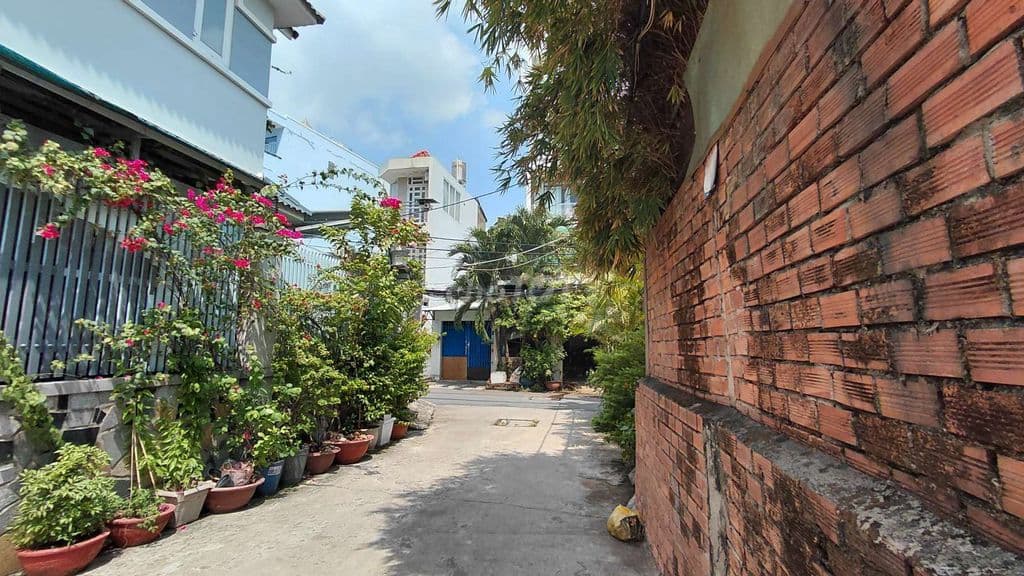 56m2 (4x14) - hẻm 6m - chỉ 5.95 đồng - bán nhà 4 tầng Gò Vấp, P.16 - Ảnh 3